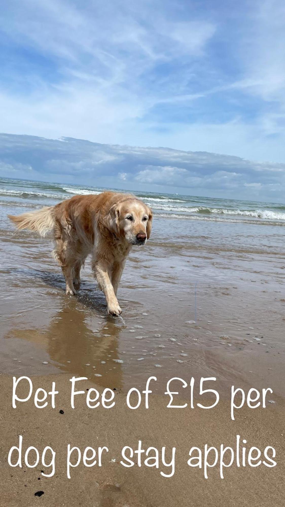 Fab Stay Uk - Coastal And Country Retreat With Free Secure Off Road Parking Minutes From Both Dover And Deal Zewnętrze zdjęcie